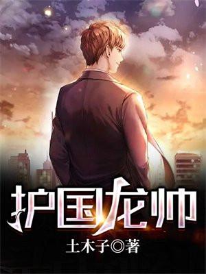 护国龙帅短剧免费高清观看