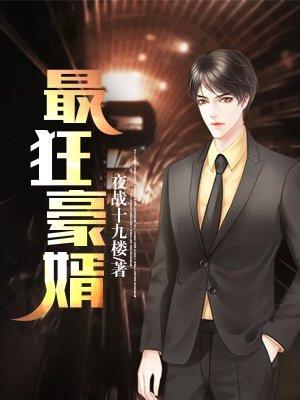 最强豪婿