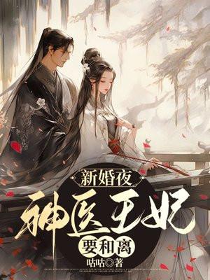 神医王妃王妃又要和离