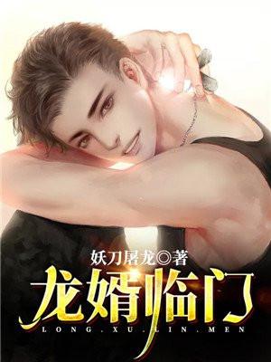 龙婿临门叶无道