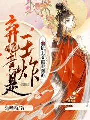 南宫晚晚的所有