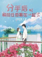 苏念乔御北免费阅读