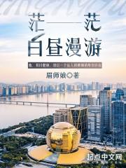 茫茫白昼漫游介绍