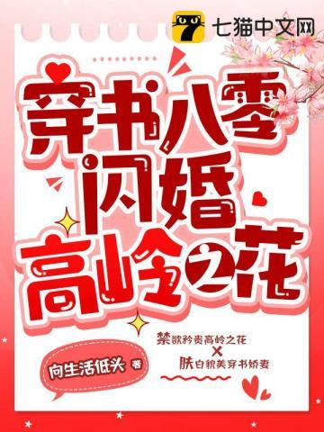 穿书八零之璀璨二婚全文免费阅读