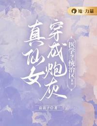 顾晚宁白延之
