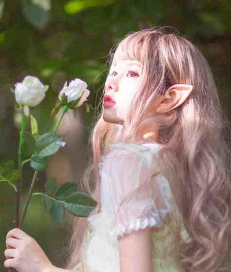 他偏要抢江芙程伽罗