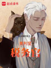 美利坚税务官无错版