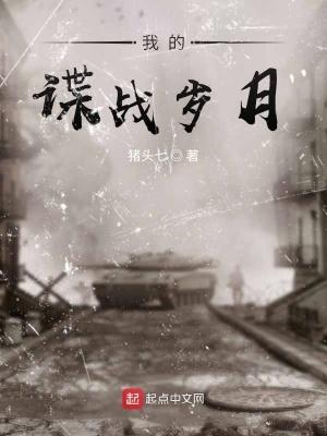 我的谍战岁月百度