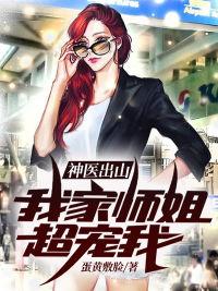 主人公叶飞是什么