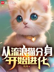 从流浪到归家