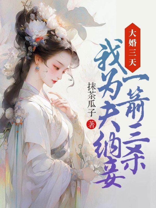 沈淮安赵盈儿结局