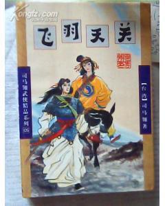 飞羽天关武功