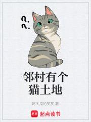 村子里的猫