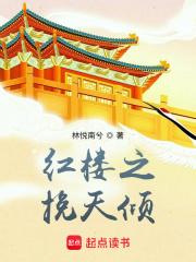 红楼之挽天倾免费阅读无广告