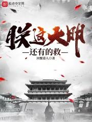 朕这大明还有的救TXT