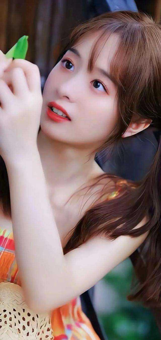 江晚芍裴渡免费阅读