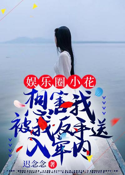 安清是什么
