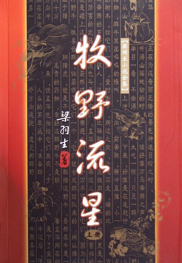 牧野流星36集免费观看
