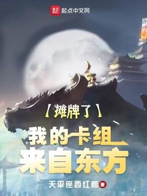 我的卡组来自东方23zw
