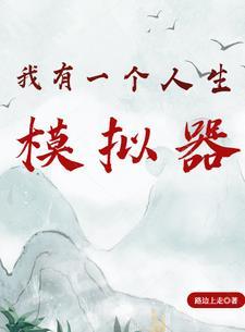 我有一个人生模拟器无错版