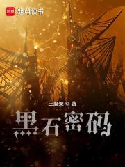 黑石密码全文免费阅读