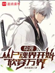 综漫从尸魂界开始砍穿万界(全本)