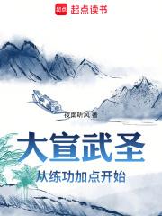 大宣武圣从练功加点开始目录