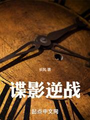 逆战流影