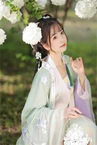 陆阳铭和林妙妙的书