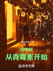 四合院从青霉素开始 齐齐读