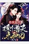 王涛去向
