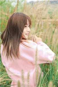 李力王茜茜txt