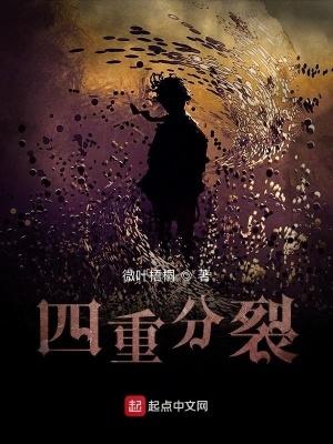 四重分裂笔趣