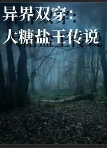 异界双穿大糖盐王传说作者光线