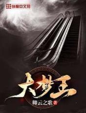 大梦王妃苏醒免费阅读