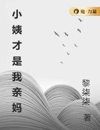 女主角叫淑芬的