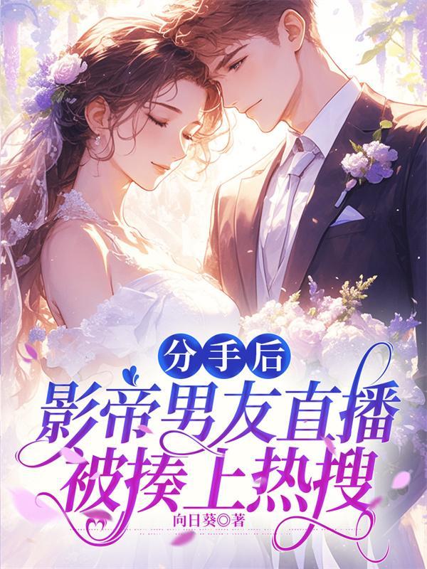 沈樵是谁