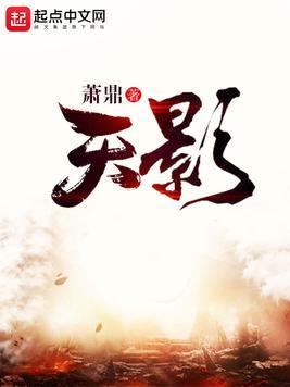 天影全文免费阅读无弹窗