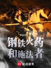 钢铁火药和施法者无错版