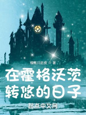 在霍格沃茨转悠的日子 在线阅读