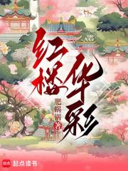 红楼华彩书评