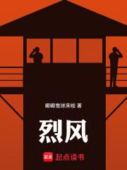 烈风山地车是什么档次