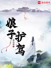大夏明镜TXT免费