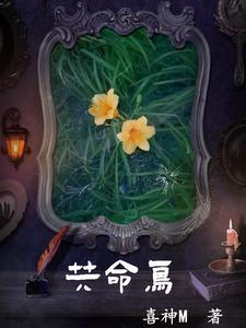 共命鸟最经典十句话