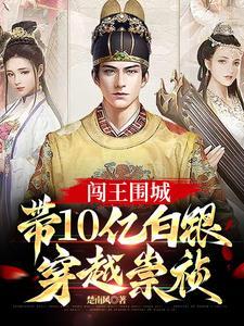 带10亿白银穿越崇祯 txt