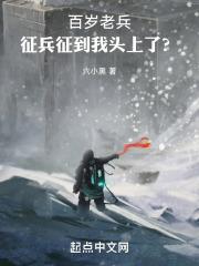 百岁老兵机甲战舰时代免费