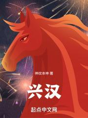 兴汉灿烂电视剧免费观看
