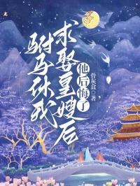 苏梨女主