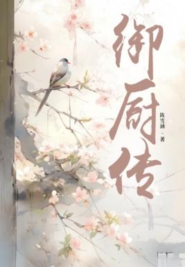 素锦是啥