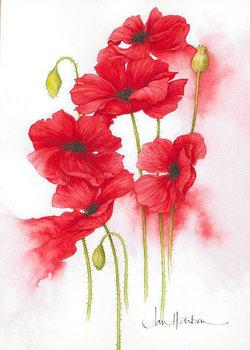 王四桂花